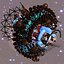 Spacecraft: TAURUS