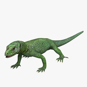 Green Lizard