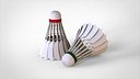 Badminton Shuttlecock
