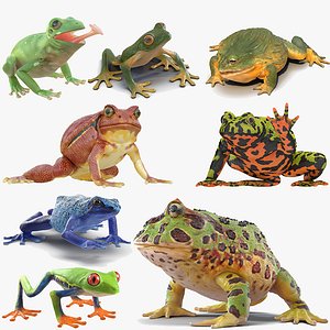 frogs rigged 3D model
