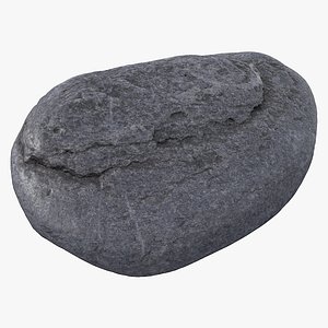 Sea Shore Stone 28