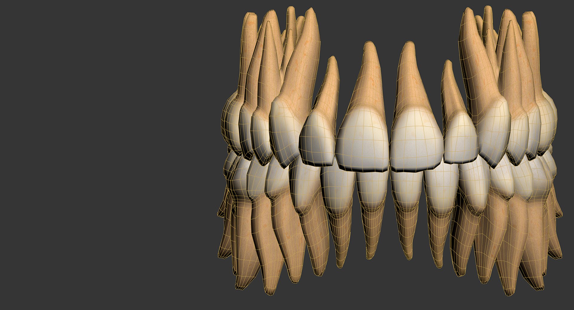 mouth orthodontics dental v4 max https://p.turbosquid.com/ts-thumb/6a/EwjCaR/8mGNphjp/wire7/jpg/1459174129/1920x1080/fit_q87/e5630da823dbb96c4c4573fe6caded2141d03117/wire7.jpg