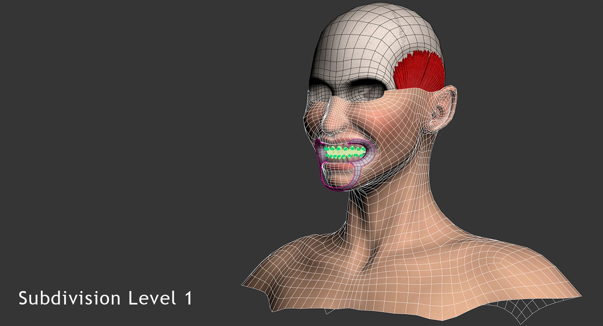 mouth orthodontics dental v4 max https://p.turbosquid.com/ts-thumb/6a/EwjCaR/Lu8Buwzs/wire2/jpg/1459174129/1920x1080/fit_q87/cfe16fc44d9cba4d84d0ded8da6144434a9cc4b0/wire2.jpg
