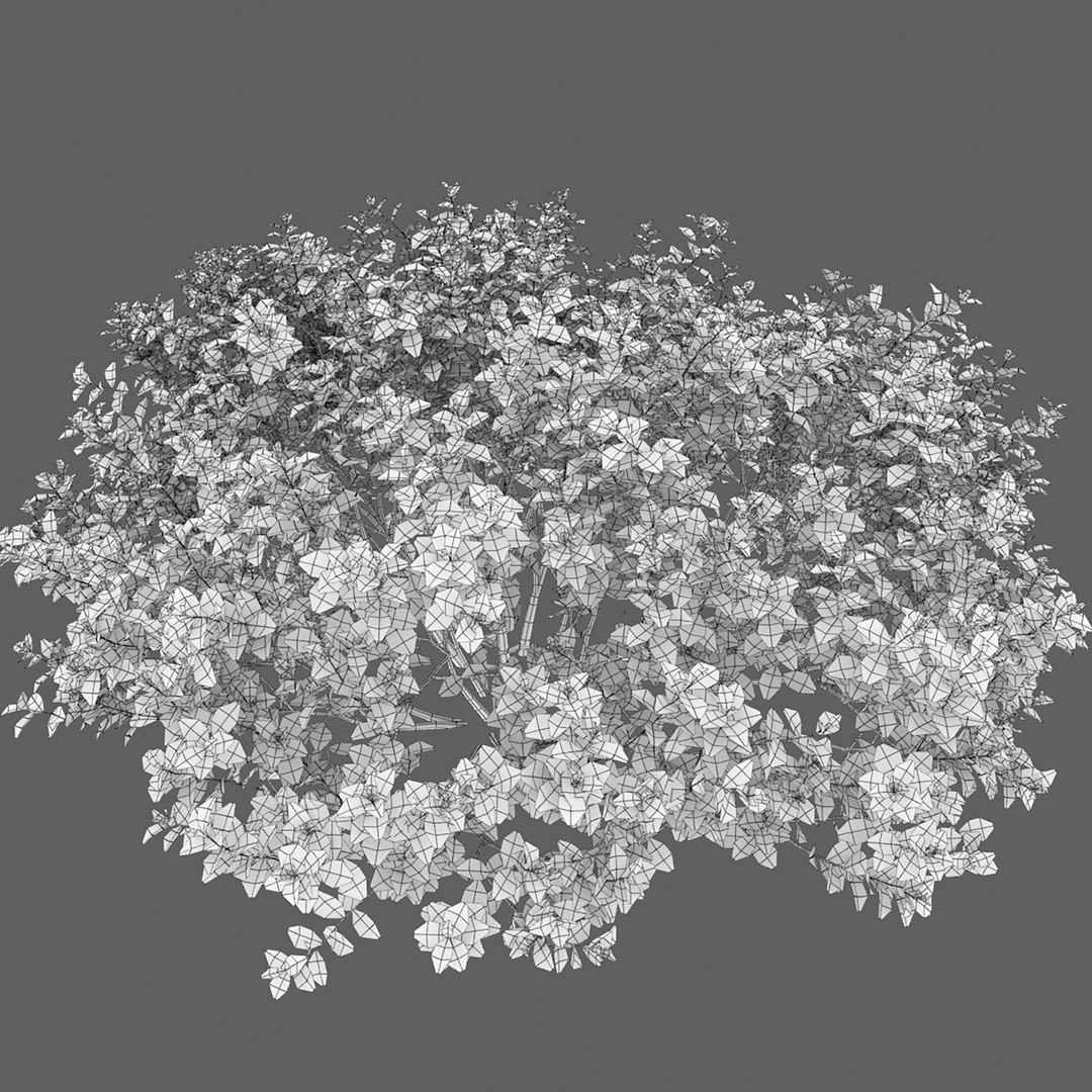 shrubs betulifolia 3D model https://p.turbosquid.com/ts-thumb/6a/G83pgz/Zr/8/jpg/1614703757/1920x1080/fit_q87/a5b7387f9be77d628cea1f8054deda3f081f37da/8.jpg