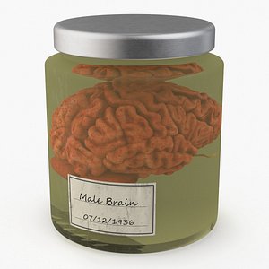 Human Brain in Glass Jar