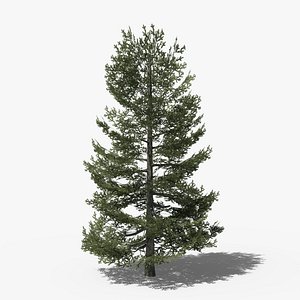 Lowpoly Pine v9 3D model
