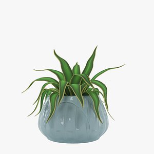 Green plant in a blue pot 3D model