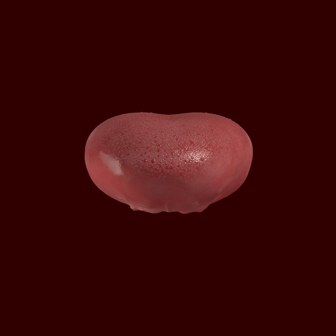 max realistic teeth gums tongue https://p.turbosquid.com/ts-thumb/6a/jLzbxy/LL1v6m1A/12/jpg/1453572332/1920x1080/fit_q87/cc820fc197429c4c14de92d2503eb44591d7c76d/12.jpg