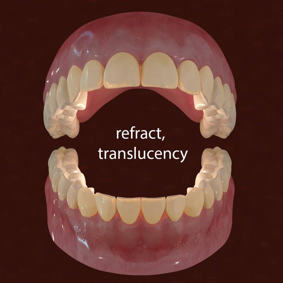 max realistic teeth gums tongue https://p.turbosquid.com/ts-thumb/6a/jLzbxy/RFKQvMfZ/16/jpg/1453572542/1920x1080/fit_q87/d286af35d11f6e649fe416d9cefa6907b3ff6a37/16.jpg
