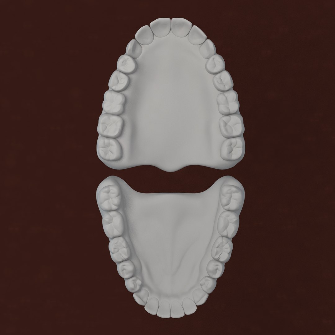 max realistic teeth gums tongue https://p.turbosquid.com/ts-thumb/6a/jLzbxy/WIu78HLW/60/jpg/1453572542/1920x1080/fit_q87/00af0843b5c455a1312a374c5ed87c5f75c4b1b8/60.jpg