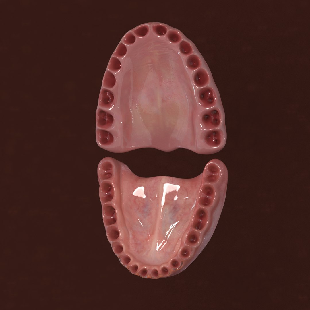 max realistic teeth gums tongue https://p.turbosquid.com/ts-thumb/6a/jLzbxy/YkqpiKYL/61/jpg/1453572542/1920x1080/fit_q87/cf258e070d4757bfe54681aad6fbbd921a12e459/61.jpg