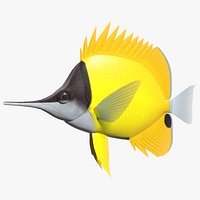 Yellow longnose butterflyfish