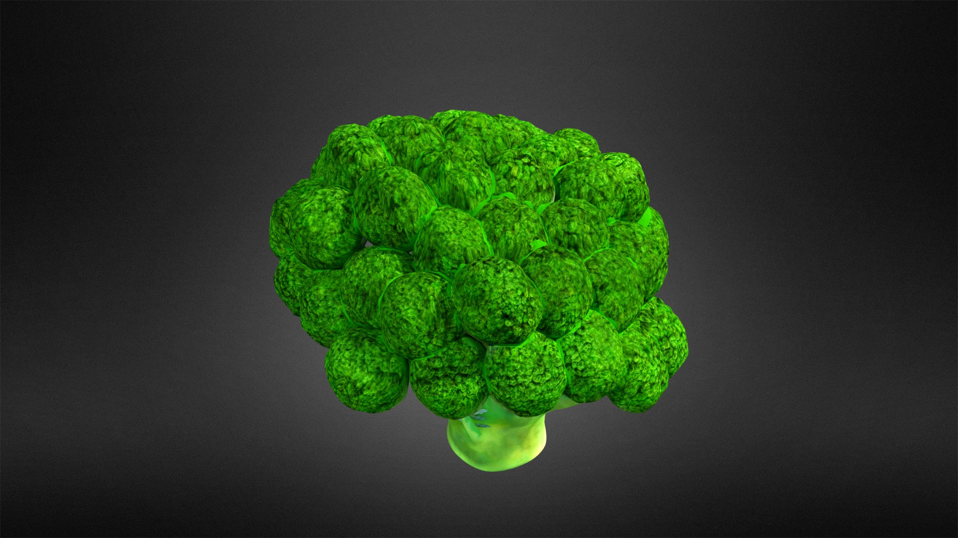 Broccoli 3D Model - TurboSquid 1926732