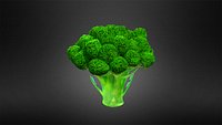 Broccoli