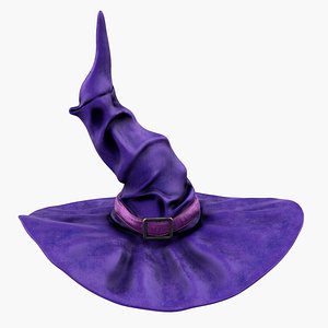 3D halloween witch hat purple model