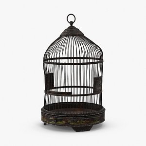 Old Bird Cage