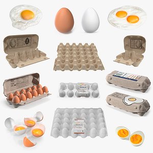 Chicken Eggs Collection 7