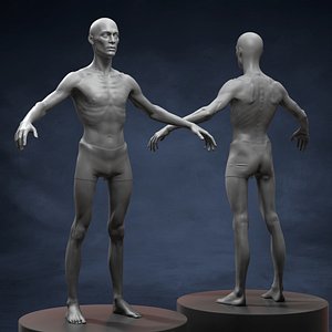 Skinny Man Body Basemesh 3D model