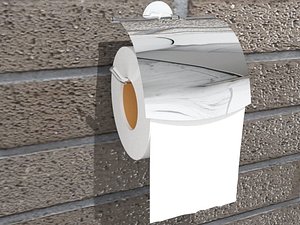 toilet paper model