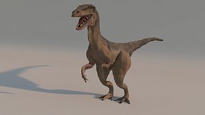 3D velociraptor model