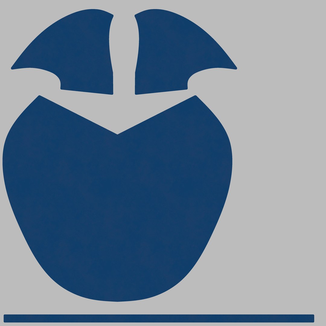3D pixie cape https://p.turbosquid.com/ts-thumb/6b/wsazwj/ogQZU6gL/1_1001_diffuse/png/1576407281/1920x1080/fit_q87/e12664a17ddf9fcf433ab621e38ea6ca86b36e76/1_1001_diffuse.jpg