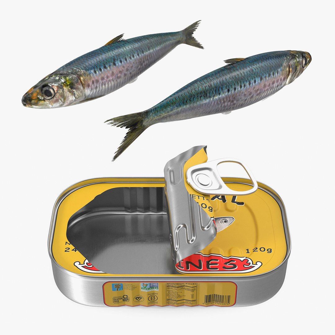 Sardine Fish with Open Can Collection 3D model preview
