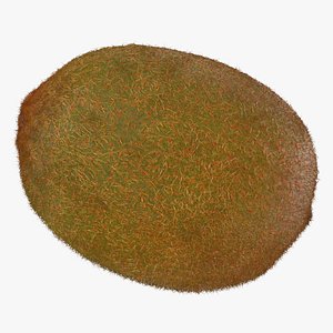 Kiwi 01