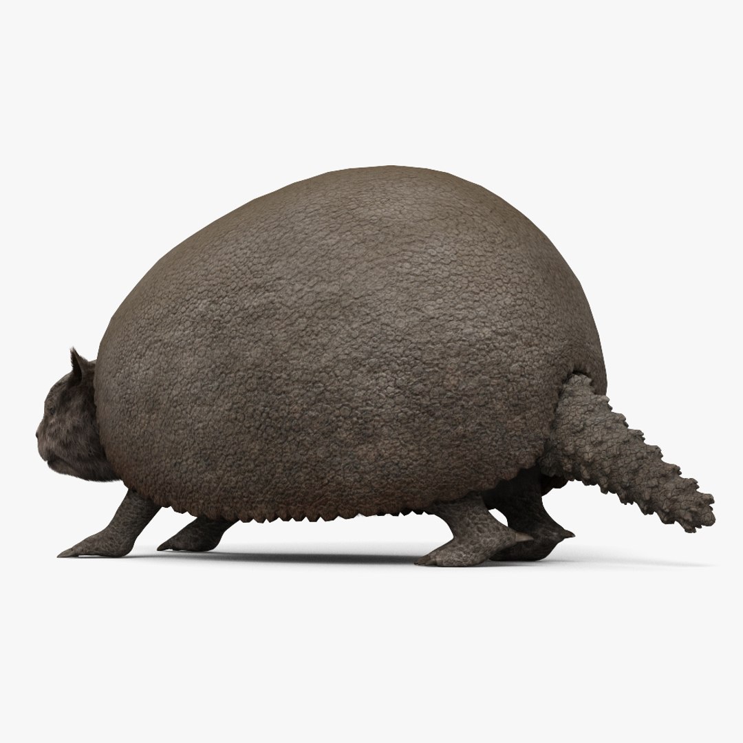 Glyptodon model - TurboSquid 2148754