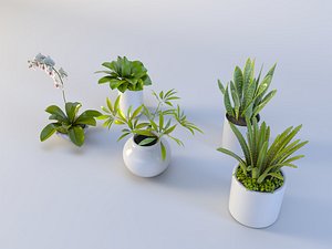 3D Succulent in pot 4 Low-poly 3D model