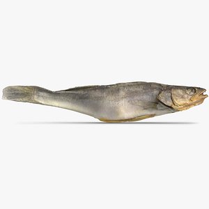 Dry Fish 4