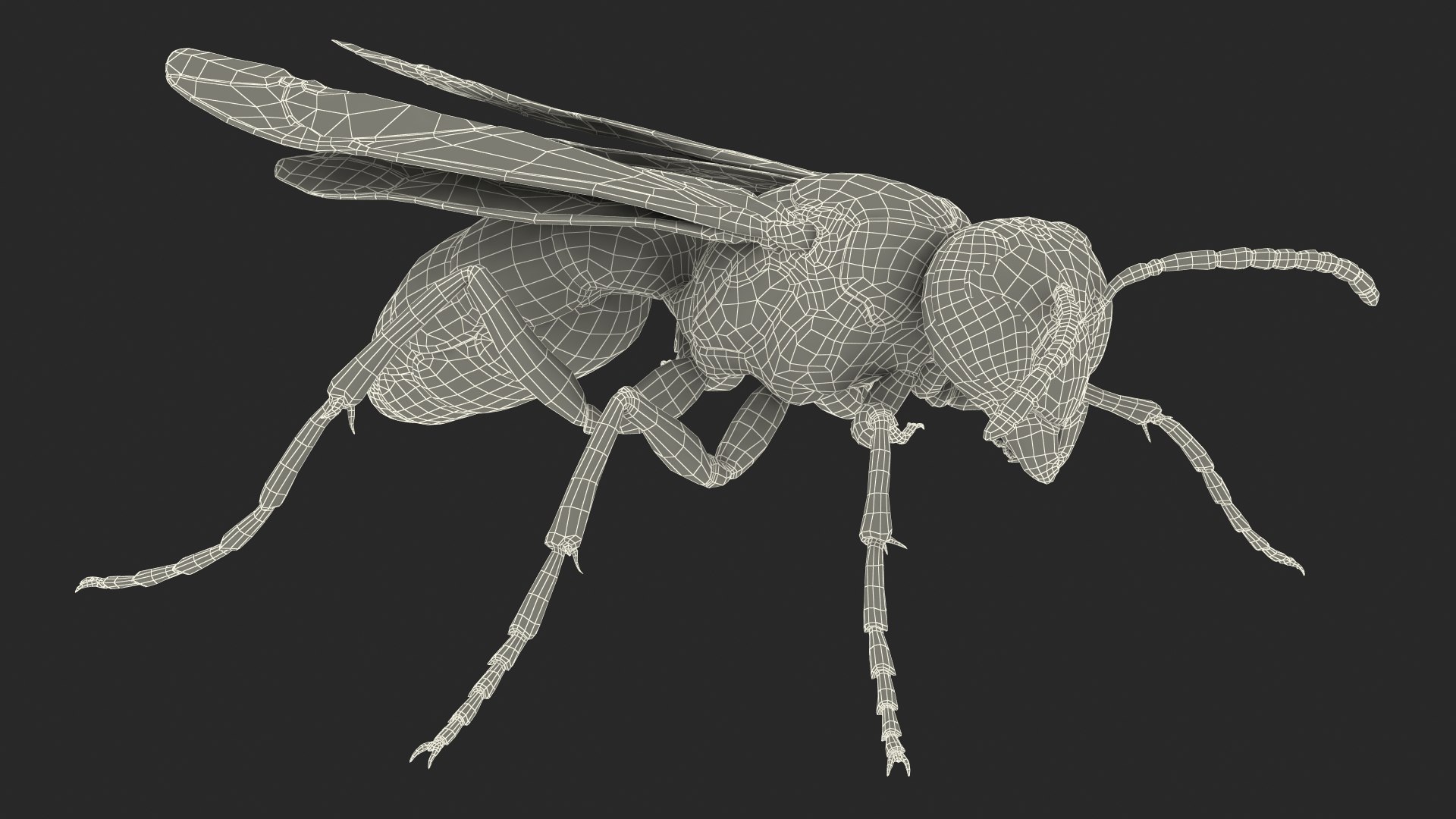 3D Paper Wasp Standing Pose - TurboSquid 1629204