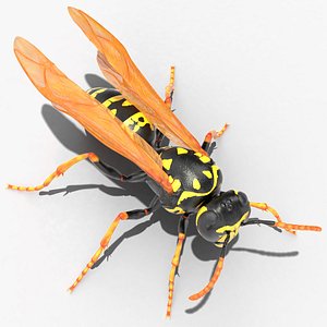 3D paper wasp standing pose