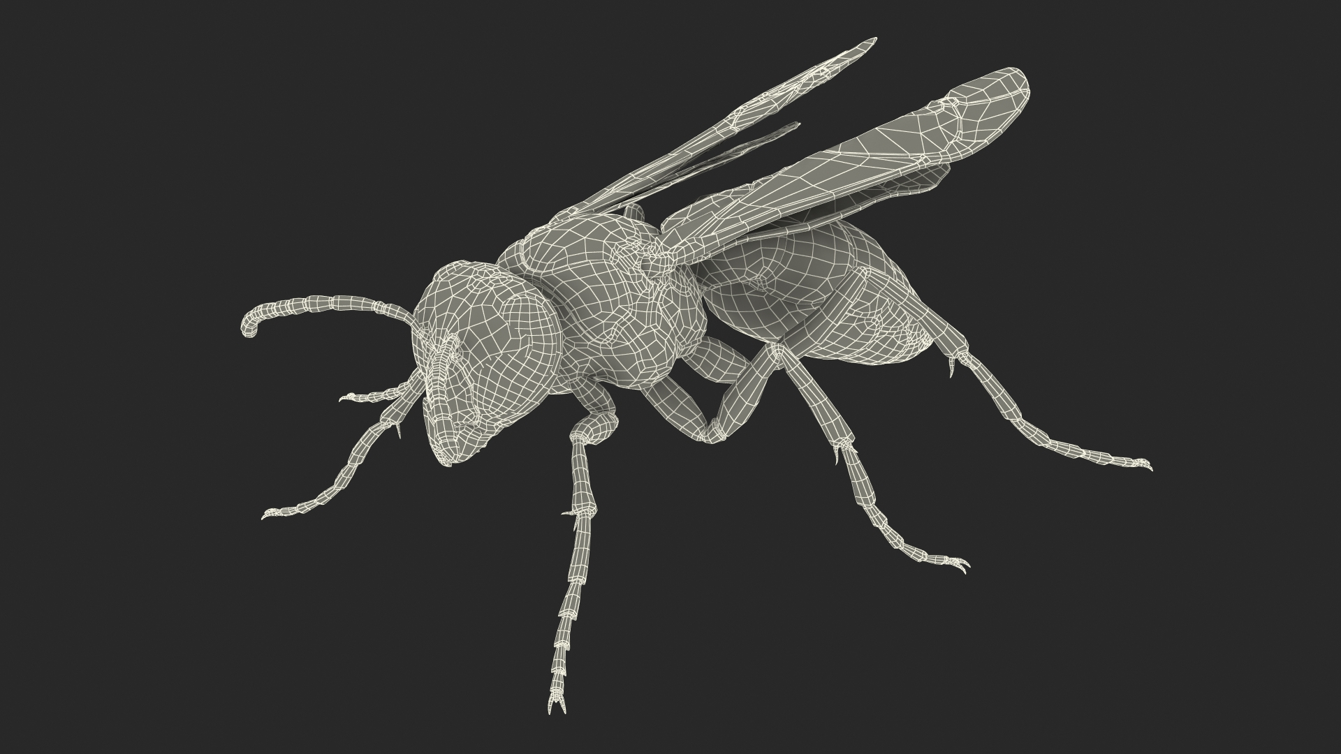 3D Paper Wasp Standing Pose - TurboSquid 1629204