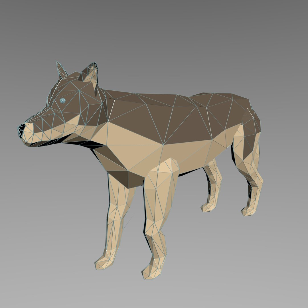 3d rigged wolf model https://p.turbosquid.com/ts-thumb/6c/mSDLle/2QLGWVmy/wf1/jpg/1464985001/1920x1080/fit_q87/e82511b0d7abbb4ea3ccc44d51f99fb4841542a3/wf1.jpg
