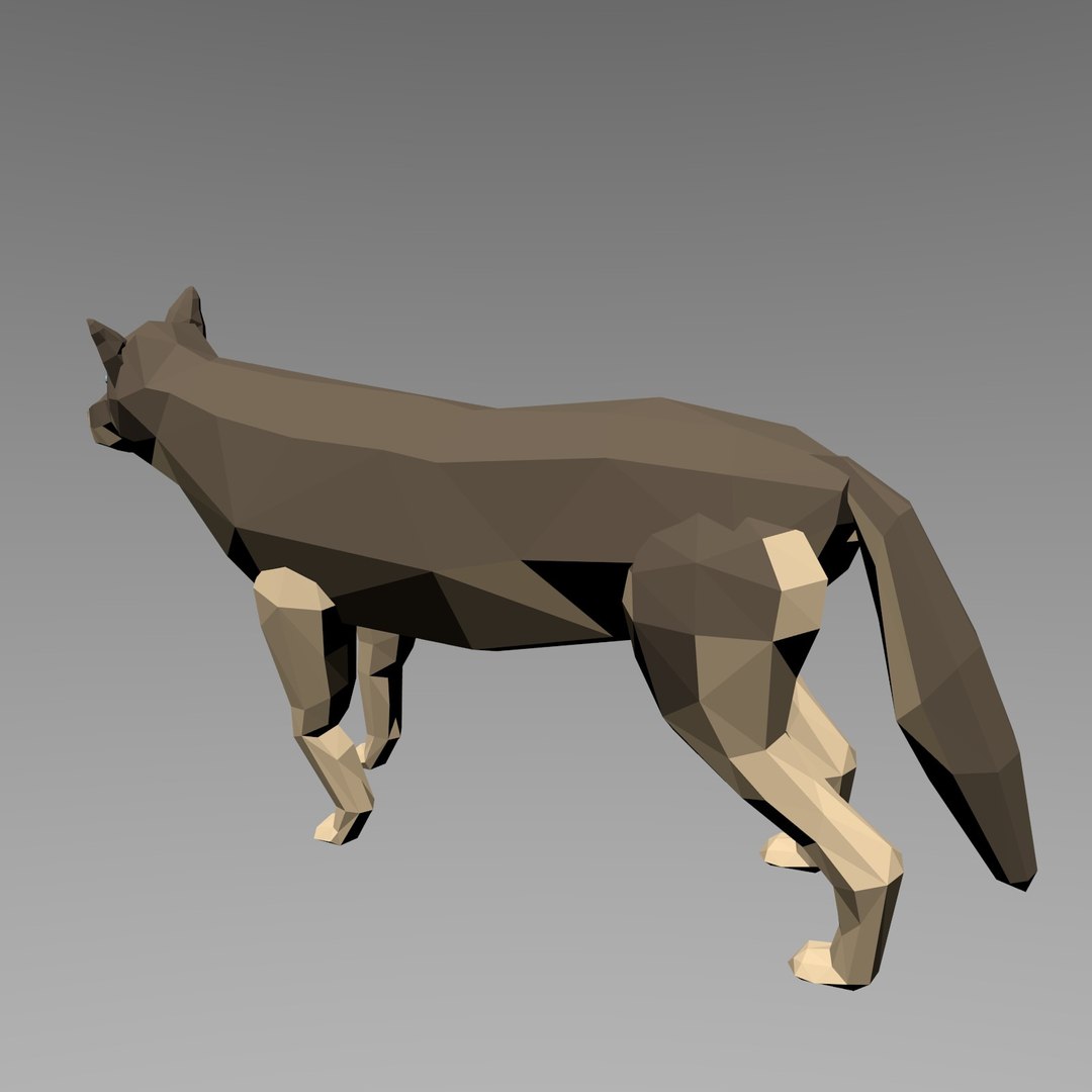 3d rigged wolf model https://p.turbosquid.com/ts-thumb/6c/mSDLle/epDzcXdx/wolf2/jpg/1464984940/1920x1080/fit_q87/392dfd02aa8670d7ec4a7283c5be2a03a0b812b4/wolf2.jpg