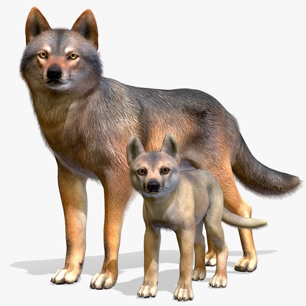 3D Wolf Family