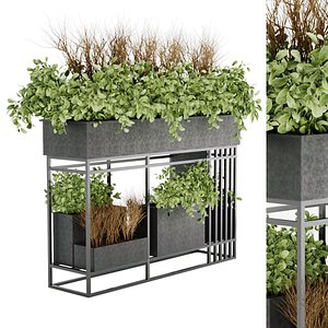 Collection plant vol 13 3D model