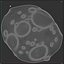 Asteroid Pack