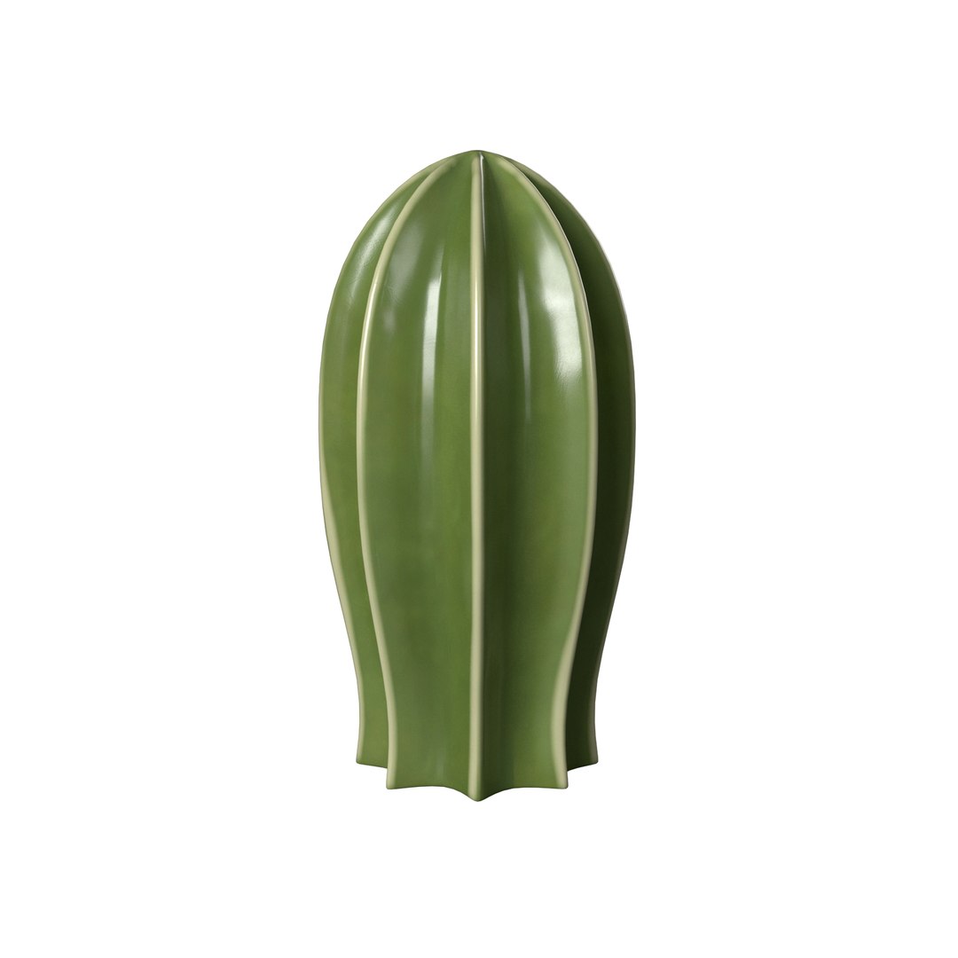 IKEA SJALSLIGT Cactus Decoration Set 3D Model - TurboSquid 1850862
