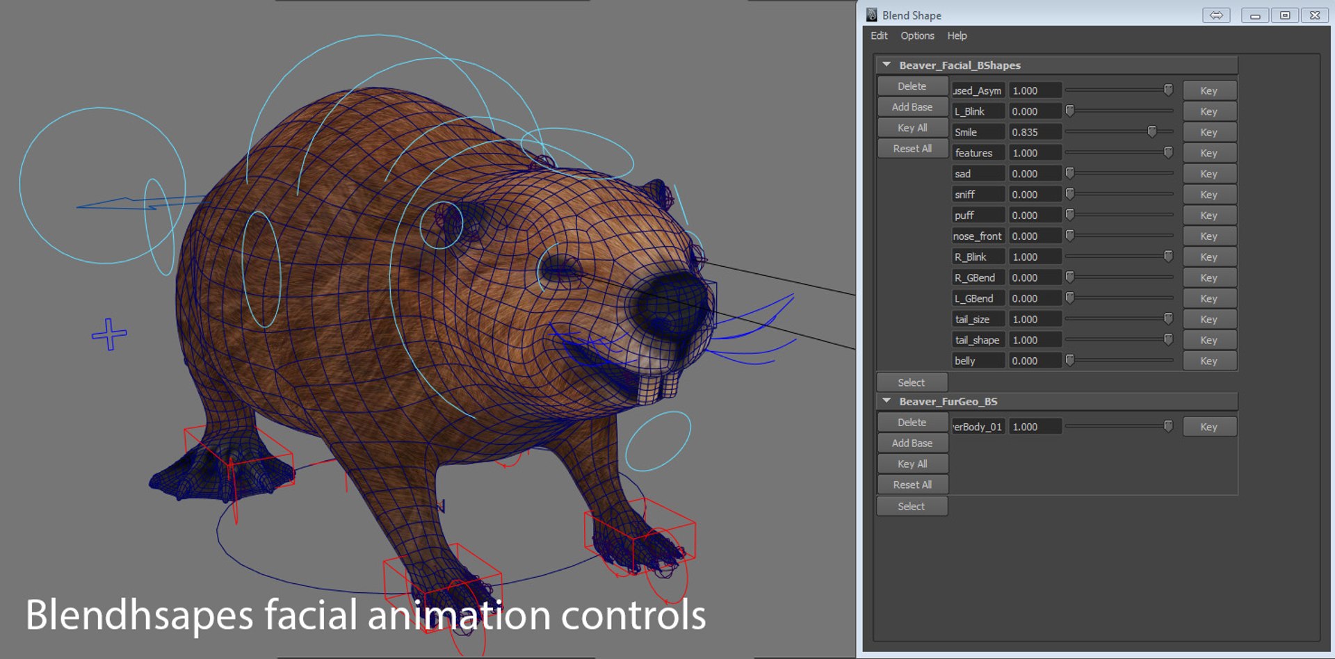 Obj Realistic Beaver
