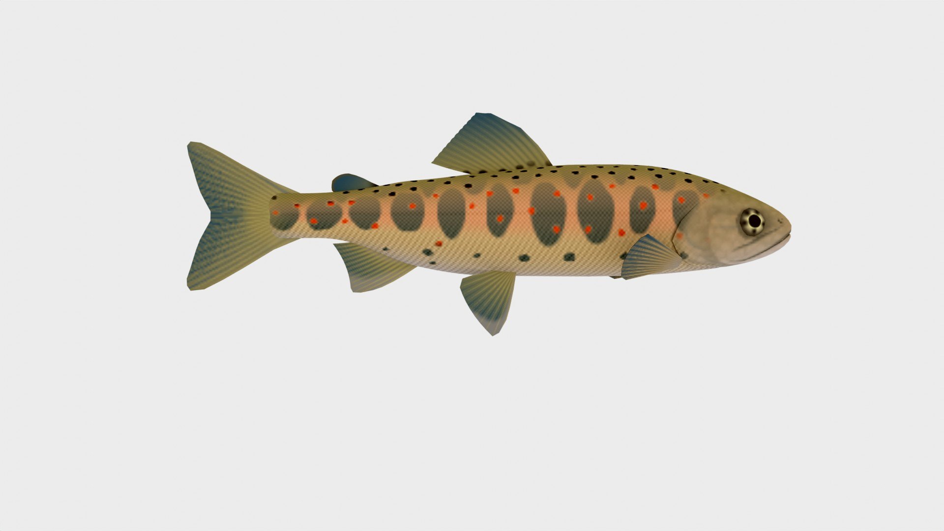 3D Savage Gear Fish 3D Model Low Poly Model - TurboSquid 2242518