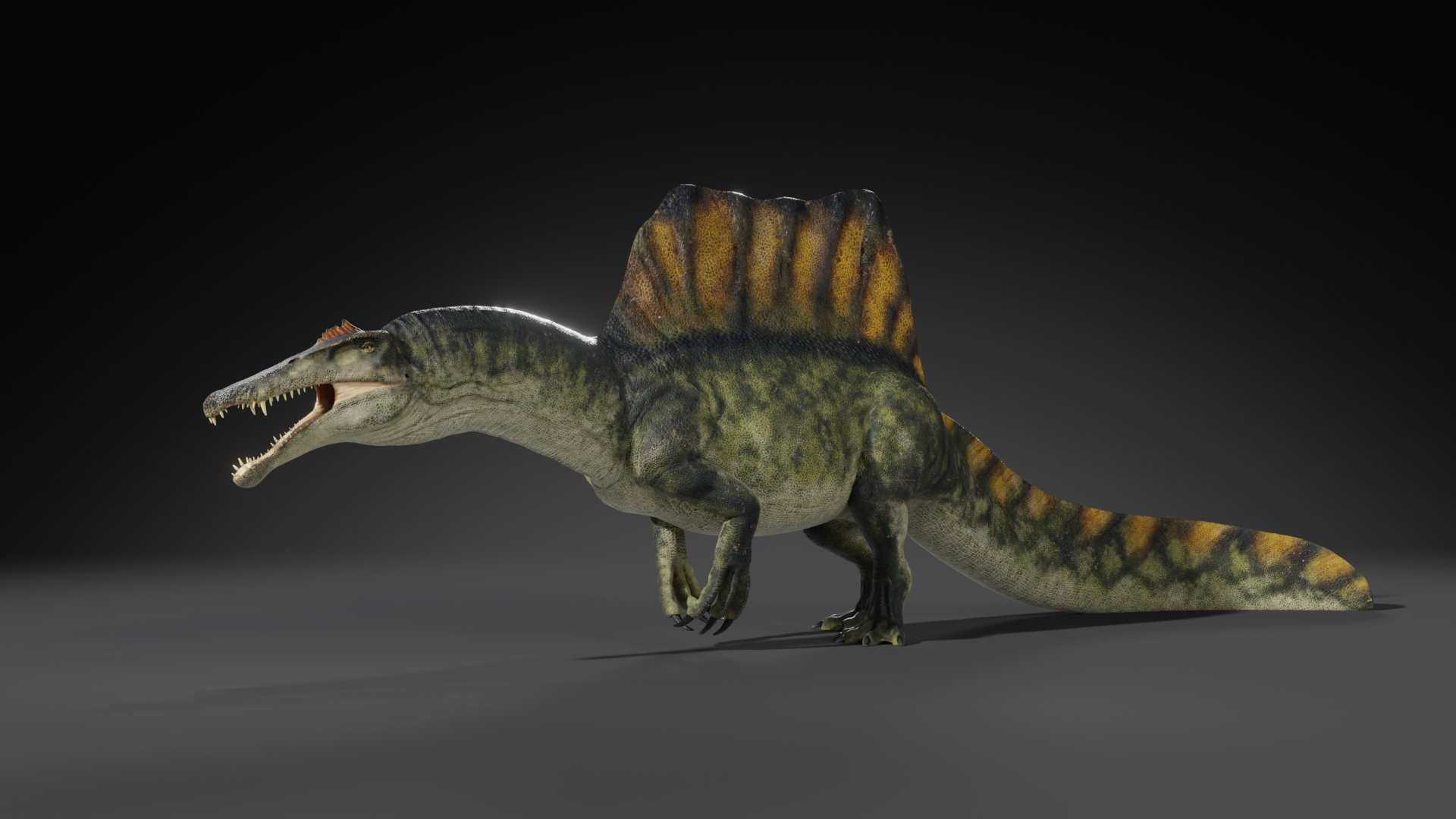 3D Spinosaurus Rig - TurboSquid 2428963