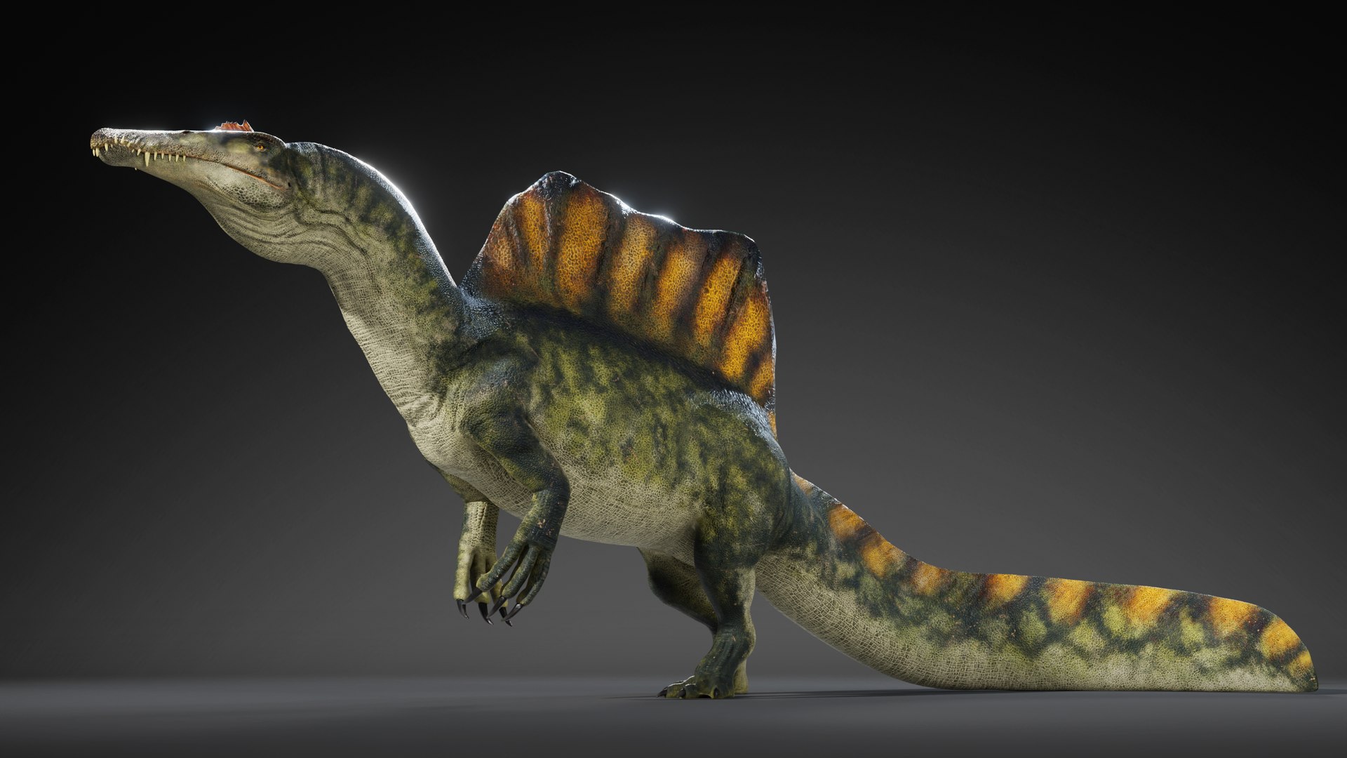 7 Accurate Dinosaurs Rig Assets Pack Model - TurboSquid 2445017