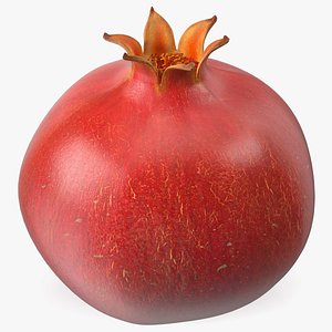Fresh Pomegranate Fruit