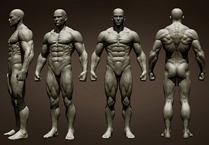 Realistic Male Full Body