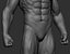 Realistic Male Full Body