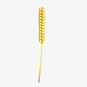 Wheat model
