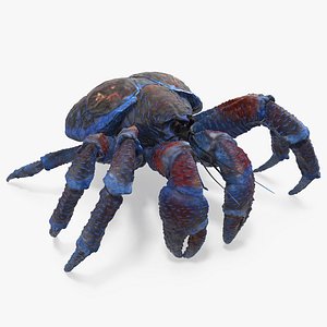 coconut crab 3D