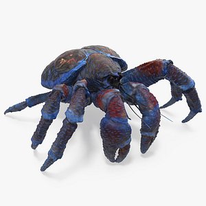 Coconut Crab