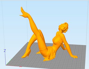 Pinup Girl